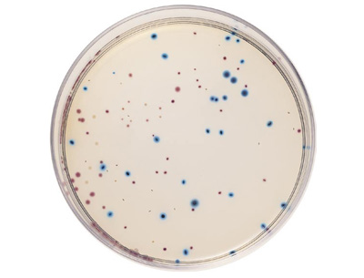 细菌总数·大肠菌群·大肠杆菌检验培养基